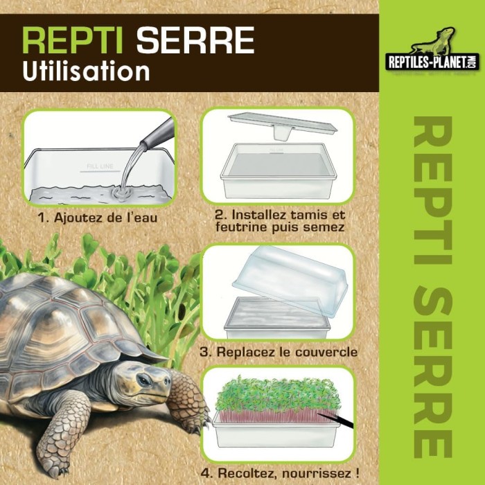 Repti Serre - Mini Serre de Germination pour tortues terrestres et Reptiles Herbivores - Reptilesplanet