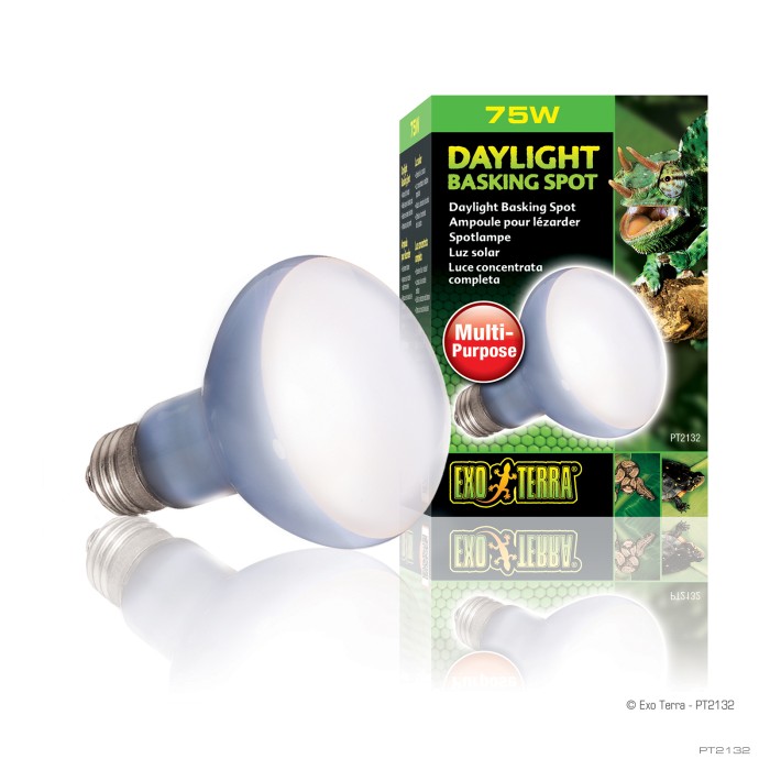 Dayllight basking spot 75 watts - Exoterra