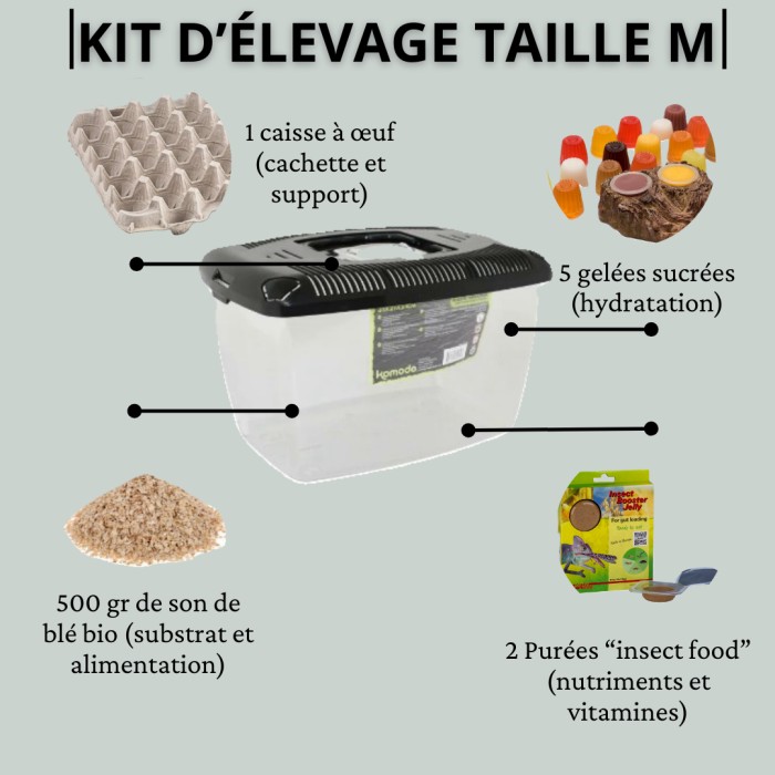 Kit élevage (taille M) insectes vivants