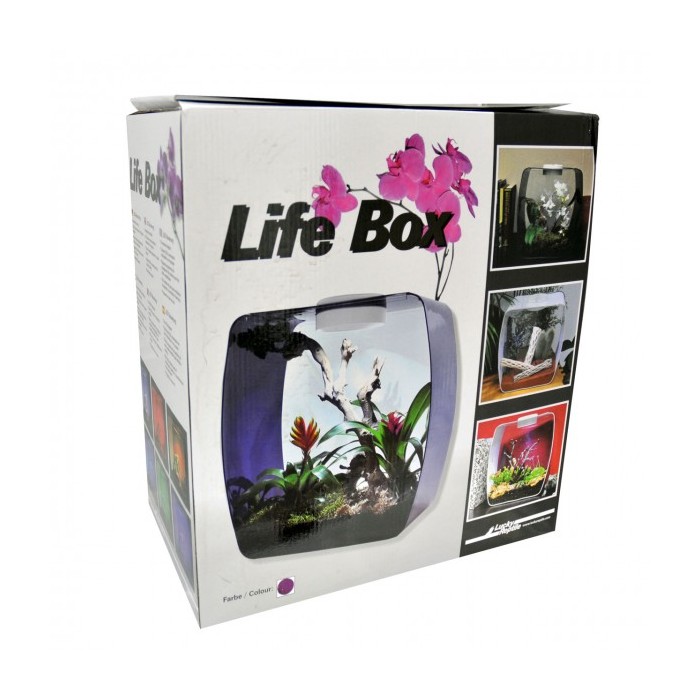 Life box design terrarium -...