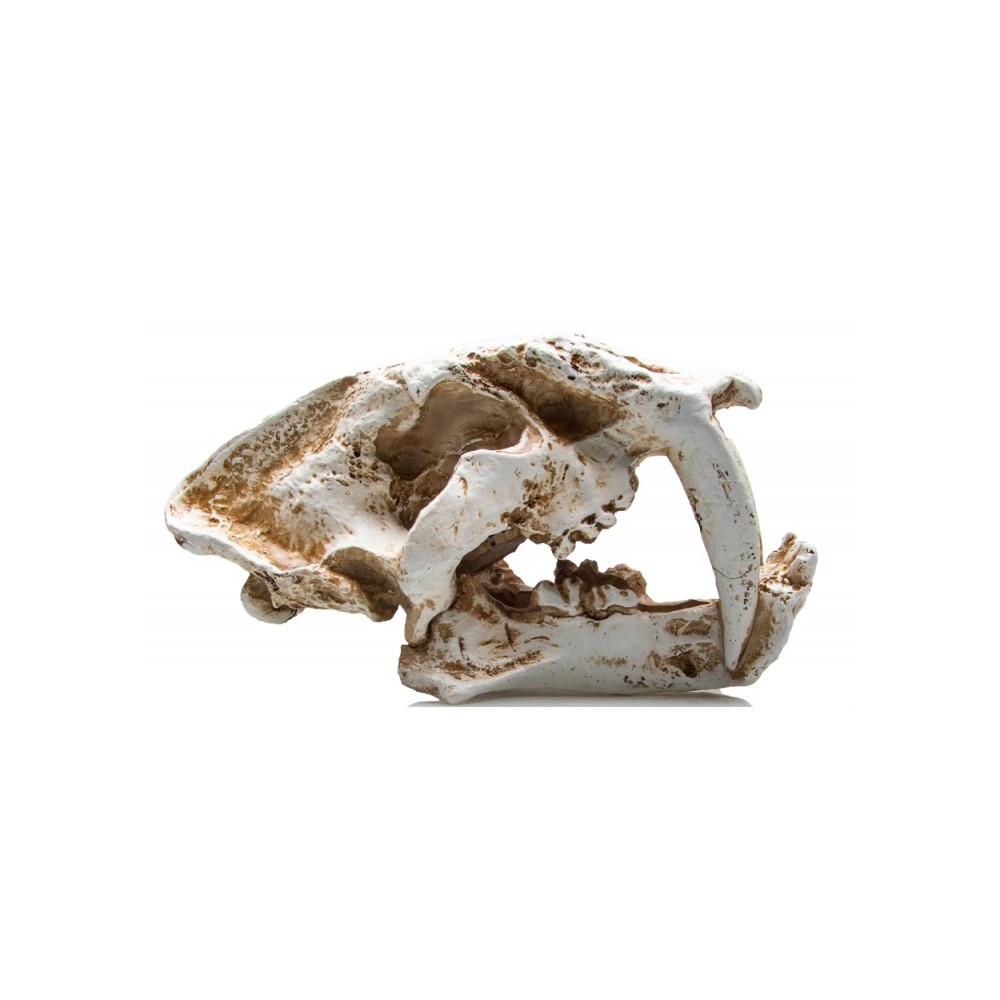 Tigre à dents de sabres XL - 00484 - 26.5 x 14.5 x 15.5 cm