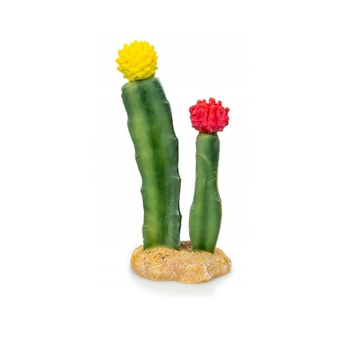 Cactus 6 - 8 X 6 X 18 CM