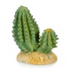 Cactus 4 - 9.5 X 5 X 10 CM
