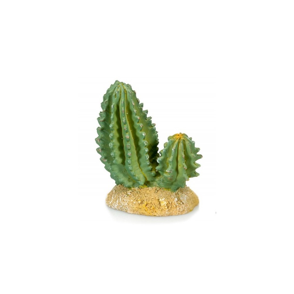 Cactus 4 - 9.5 X 5 X 10 CM