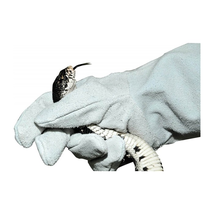 Paire de gants (gauche et droite) - Lucky reptile
