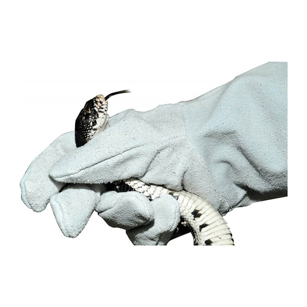 Lucky reptile paire de gants (gauche et droite)