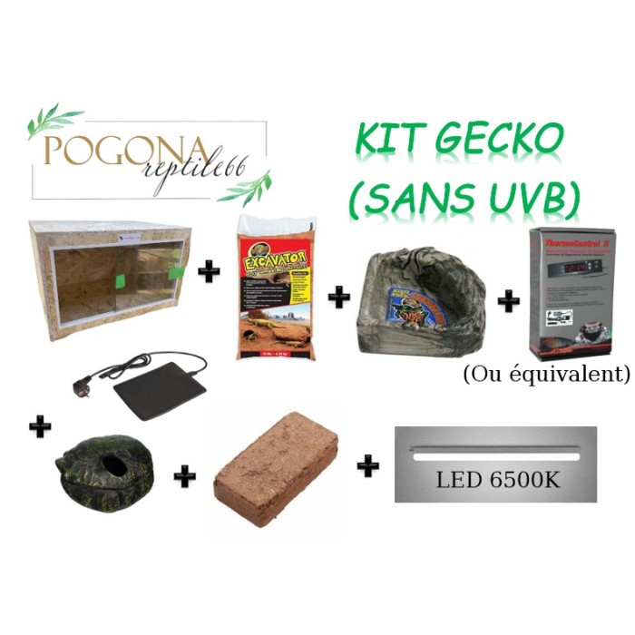 Terrarium kit pour Gecko léopard (LIVRAISON OFFERTE)