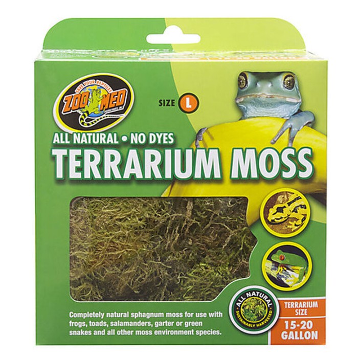 Terrarium moss - Zoomed