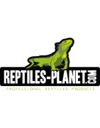 REPTILE PLANET ET PARTENAIRES