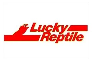 Lucky reptile